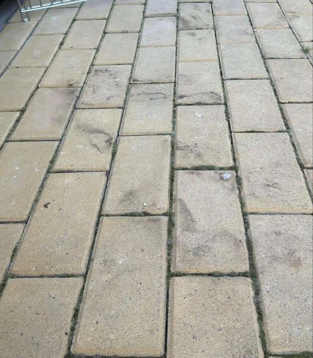 Pilkų trinkelių danga po plovimo